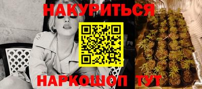 скорость Будённовск
